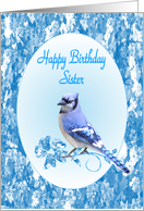 Sister Birthday, Blue Jay card