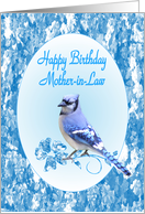 Mother-in-Law Birthday, Blue Jay card