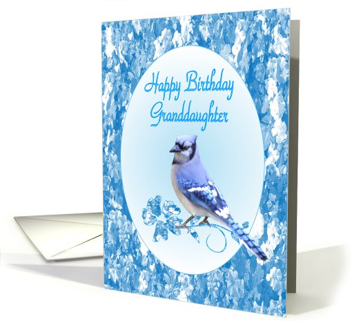 Granddaughter Birthday, Blue Jay card (435657)