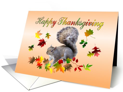 Happy Thanksgiving - Squirrel card (438794)