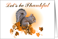 Thanksgiving - Squirrel card