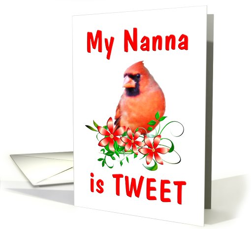 Nanna Birthday - Cardinal card (452642)