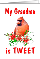Grandma Birthday - Cardinal card