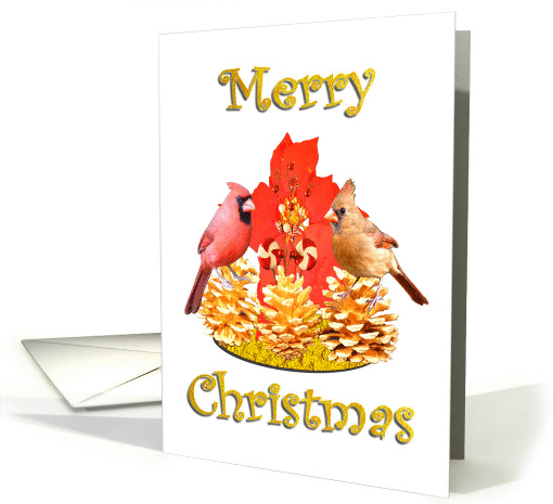 Merry Christmas - Cardinals card (453417)