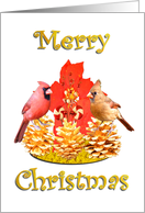 Merry Christmas - Cardinals card