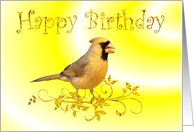 Happy Birthday - Cardinal card