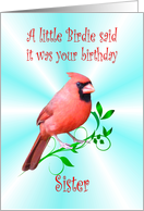 Sister Birthday - Cardinal card