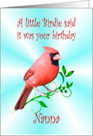 Nanna Birthday - Cardinal card