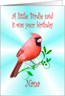 Nana Birthday - Cardinal card