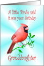 Granddaughter Birthday - Cardinal card