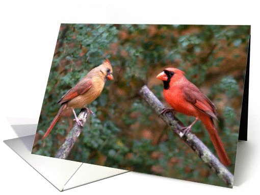 Anniversary Cardinals card (467592)