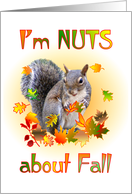 Fall - Squirrel card