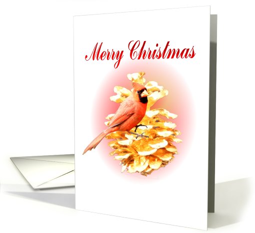 Cardinal Merry Christmas card (512206)