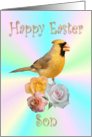 Son Happy Easter Cardinal Roses card