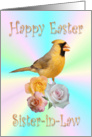 Sister-in-Law Happy Easter Cardinal Roses card