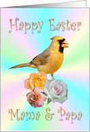 Mama & Papa Happy Easter Cardinal Roses card