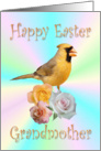 Grandmother Happy Easter Cardinal Roses card