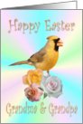 Grandma & Grandpa Happy Easter Cardinal Roses card