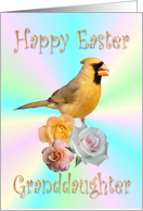 Granddaughter Happy Easter Cardinal Roses card