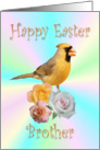 Brother Happy Easter Cardinal Roses card