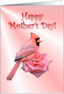 Happy Mother’s Day Cardinal Rose card