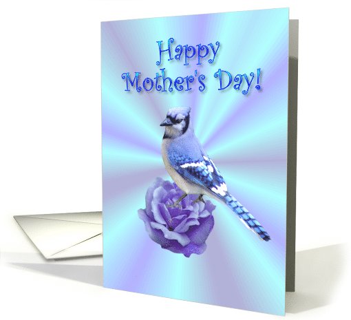 Happy Mother's Day Blue Jay Rose card (549425)