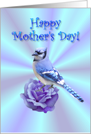 Happy Mother’s Day Blue Jay Rose card