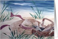 Hat with Basket of Shells Blank Notecard card