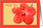 Thank You card