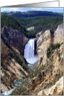 Lower Yellowstone Falls, Yellowstone National Park card