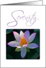 Serenity Pink Lotus card