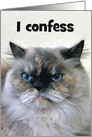 Thank you, Pet Sitter, Himalayan Cat, Custom Text card