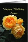 Sister Happy Birthday June Birth Flower, Rose, Custom Text card