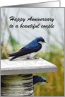 Tree Swallow Couple Happy Anniversary card