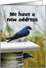 We have a New Address, Tree Swallow, Custom Text card