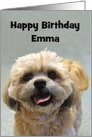 Happy Birthday Shih Tzu Emma card