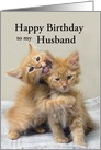 Husband Happy Birthday, Orange Kittens, Custom Text card