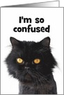 Confused Persian Cat Happy Birthday card