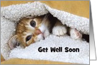 Get Well Soon Orange Tabby Kitten Custom Front card