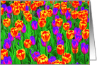 Pop Art Neon Tulips Friend Happy Birthday card