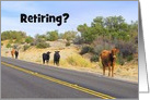 Roam Free in Your Retirement, Free Range Cattle card