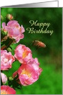 Happy Birthday - Honeybee with Wild Roses, Custom Text card