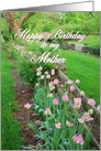 Happy Birthday Mother Pink Tulips Along Fence Card