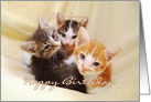 Happy Birthday Grandma, Three Kittens card