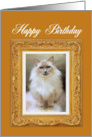 Happy Birthday, Ragdoll Cat Portrait Gold Masterpiece card