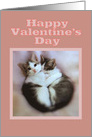 Happy Valentine’s Day, Kittens in Love card