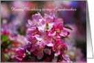 Happy Birthday Grandmother Apple Blossoms and Honey Bee card