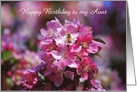 Happy Birthday Aunt Apple Blossoms and Honey Bee, Custom Text card