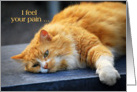 I Feel Your Pain - Feel Purr-fect Soon Orange Cat card