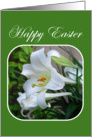 Happy Easter, Easter Blessings, White Lilies card